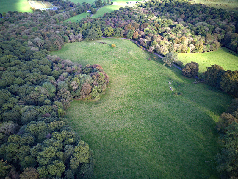 For Sale Land Woodland Dalquhairn At Dalquhairn Irongray